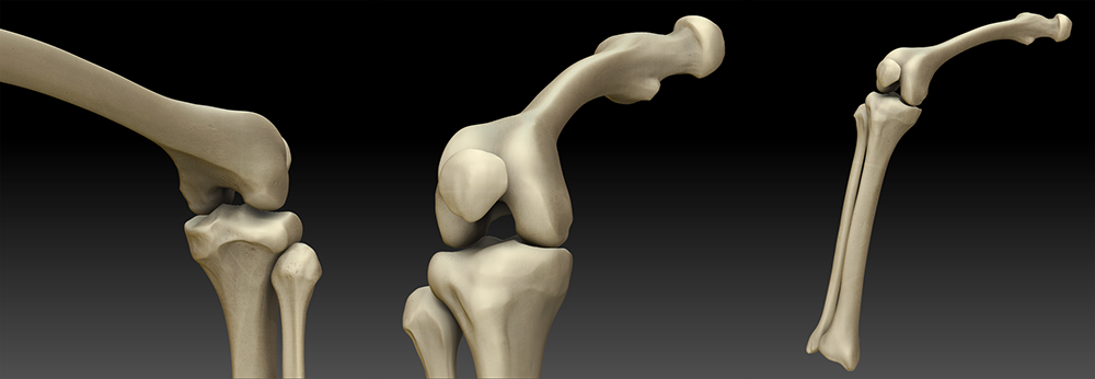 3d model of 85 year old self portrait in zbrush by keith catalano