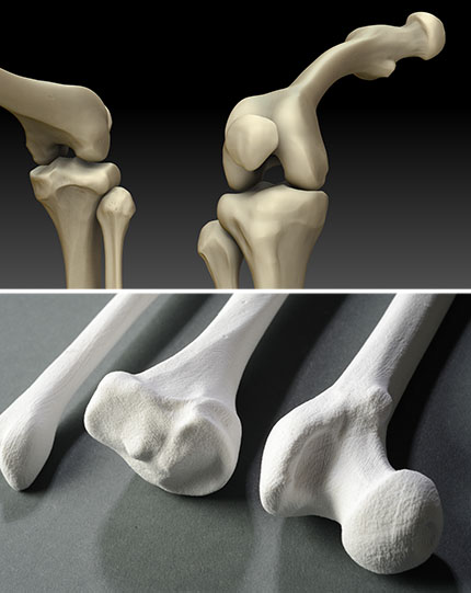 student 3d printing project by sam herder