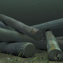 thumbnail image of logjam animation